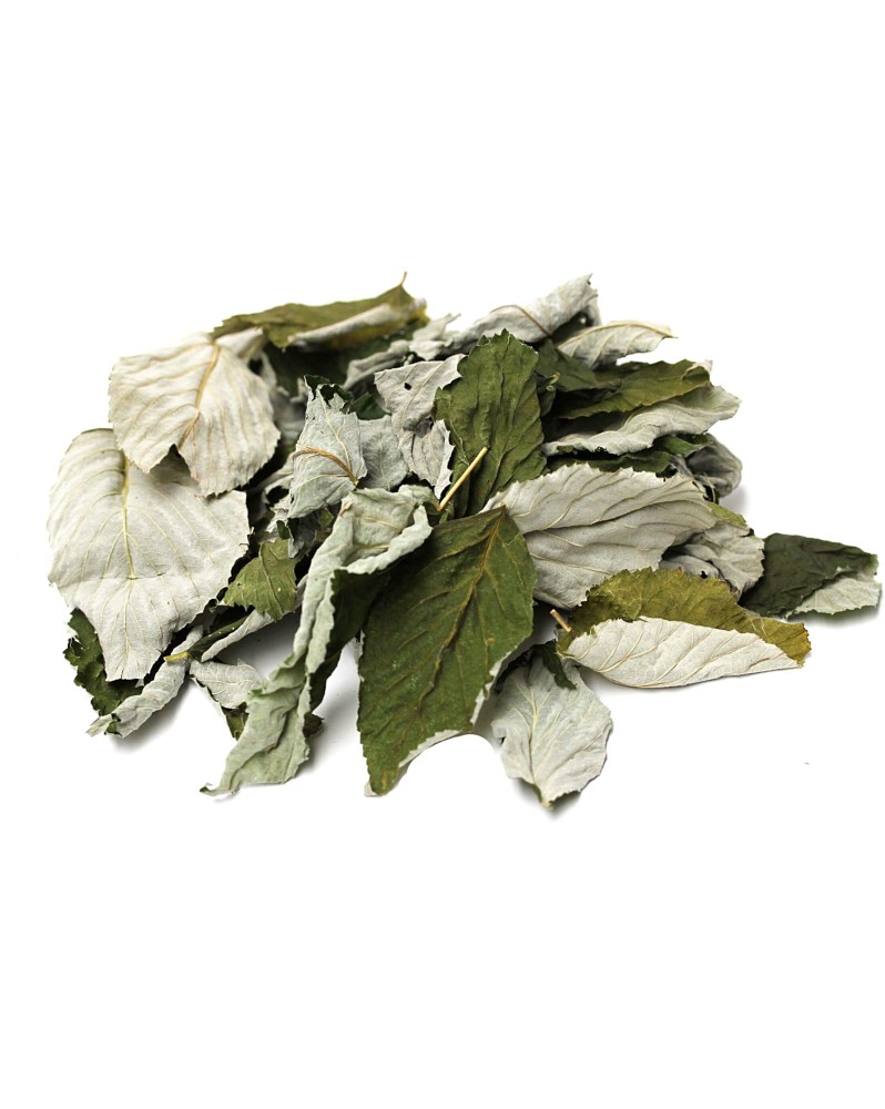 Feuilles de framboisier pour crevettes
