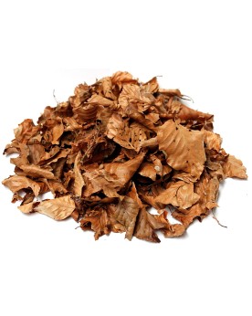 Feuilles de hetre sechees pour crevettes eau douce