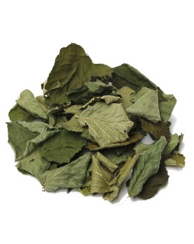 Feuille de mure pour crevettes