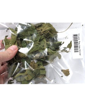Feuille de murier pour crevettes