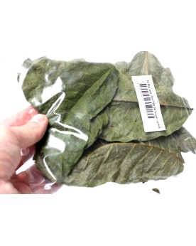 Feuilles de noyer pour crevettes