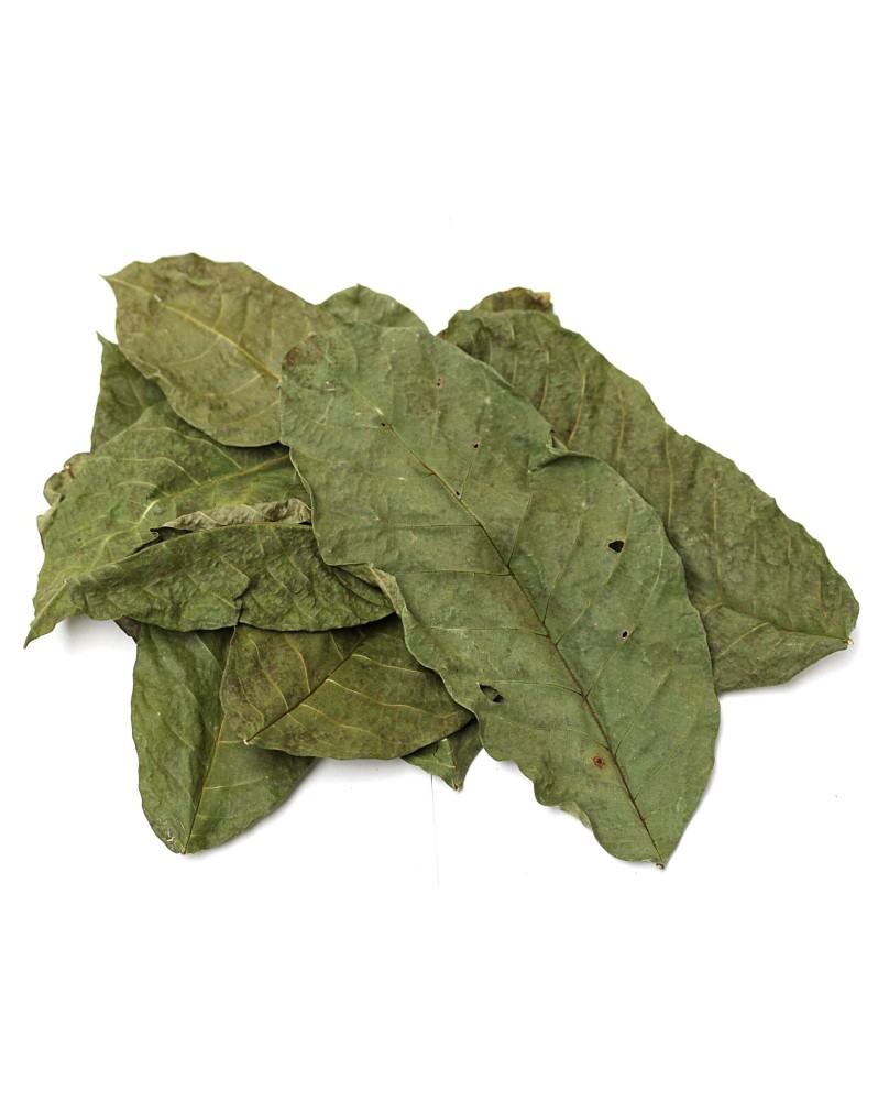Feuilles de noyer pour crevettes nourriture naturelle