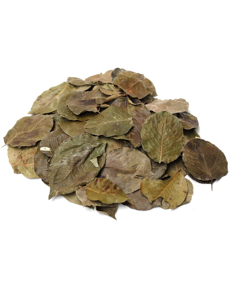 Feuilles de poirier pour crevettes - nourriture naturelle