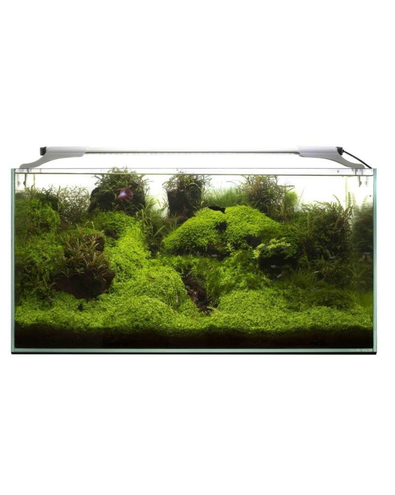 Rampe LED LEDDY SLIM pour aquarium