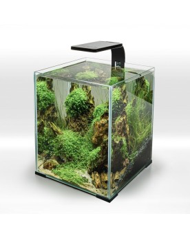 Leddy Smart Sunny Day et Night LED pour petit aquarium