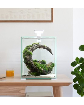 Shrimp Set Day Night - Nano aquarium 25x25x30