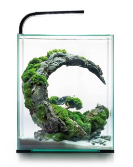 Nano aquarium Shrimp Set Day Night 29x29x35 cm