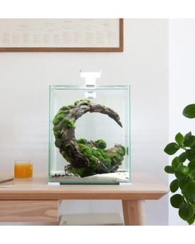 Nano aquarium Shrimp Set Day Night 29x29x35 cm