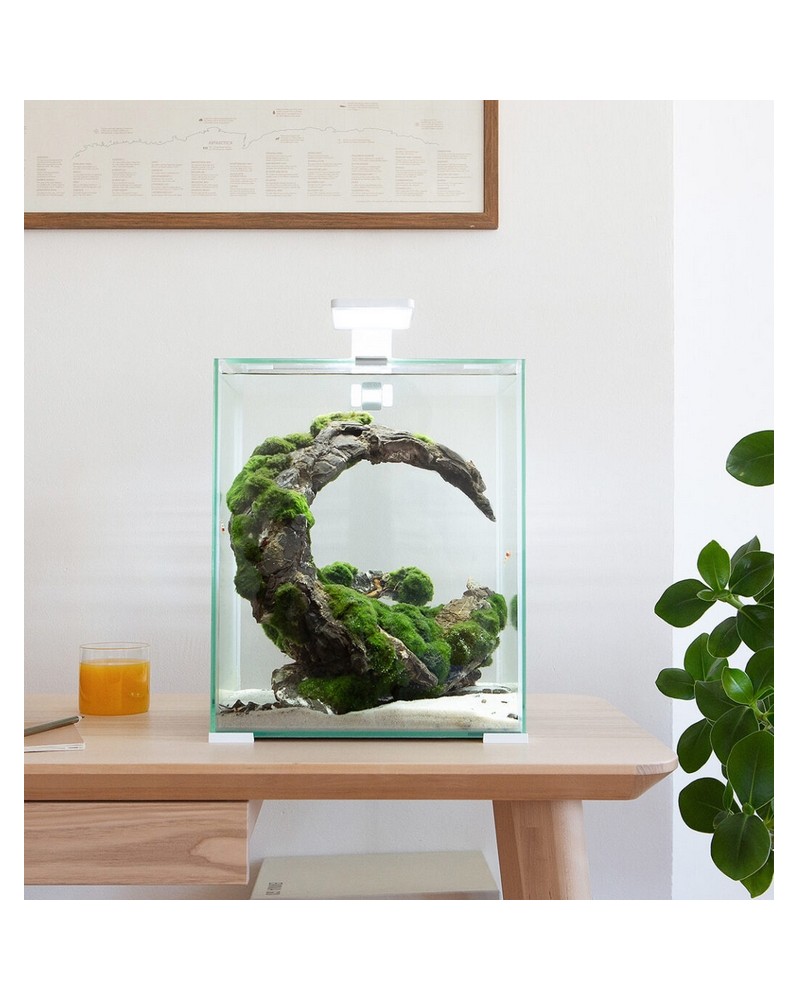 Nano aquarium Shrimp Set Day Night 29x29x35 cm