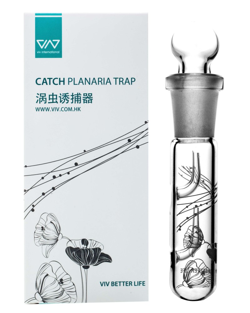 Piege a planaire en verre Viv Taille S 1.8x10cm