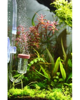 Diffuseur CO2 Aquario NEO Type U