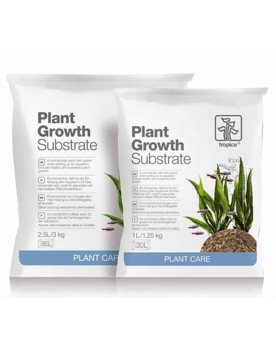 Sous couche de sol pour plantes