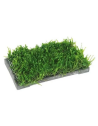 Les Supports de Plantes