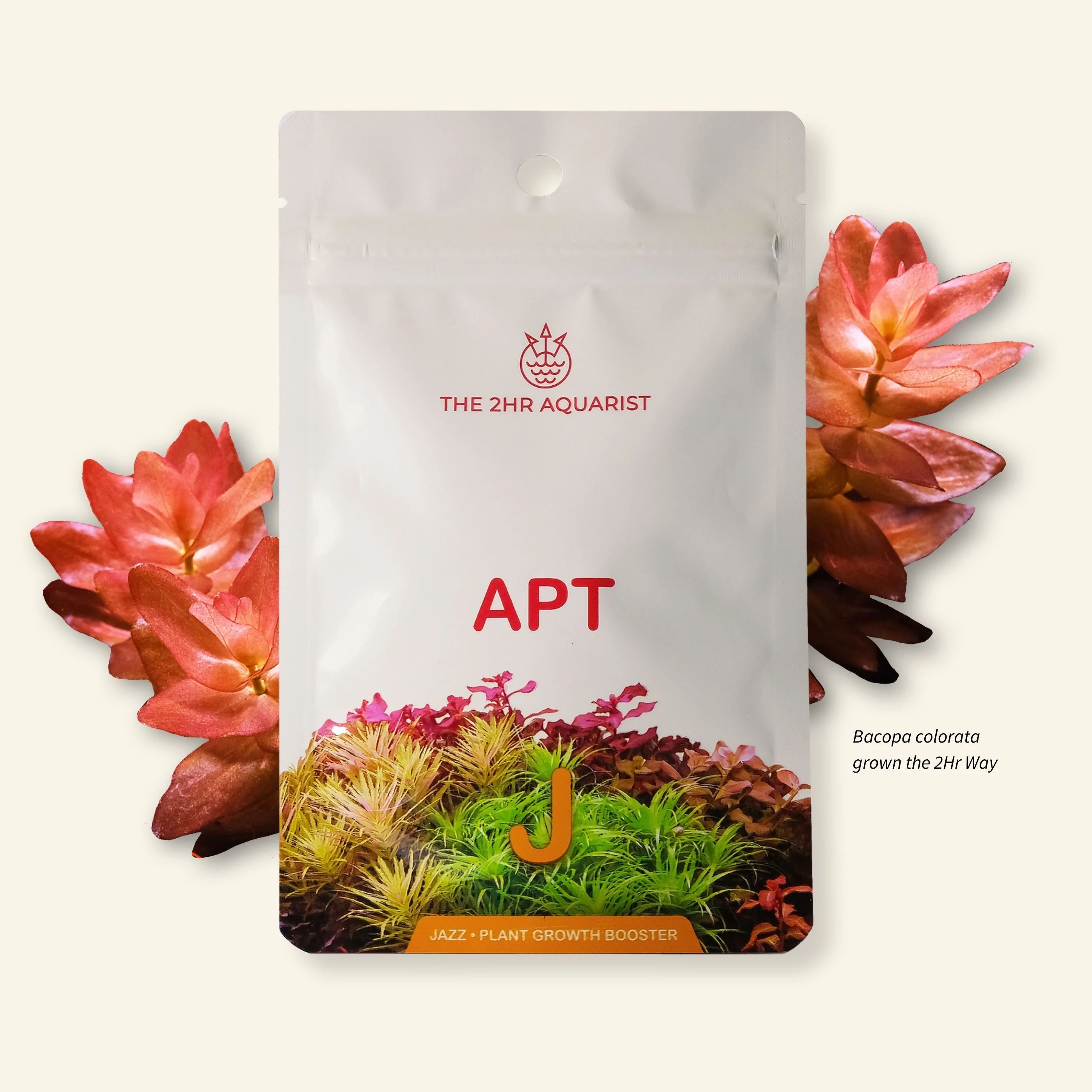 Engrais de sol aquarium - capsule tablette racinaire substrat cryptocoryne échinodorus racines plantes