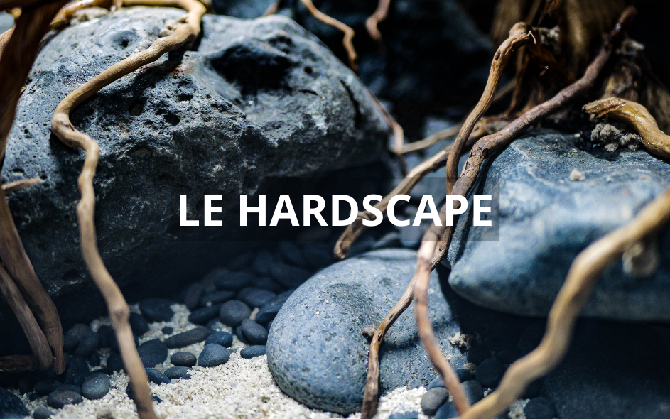 LE HARDSCAPE(12)_1.png