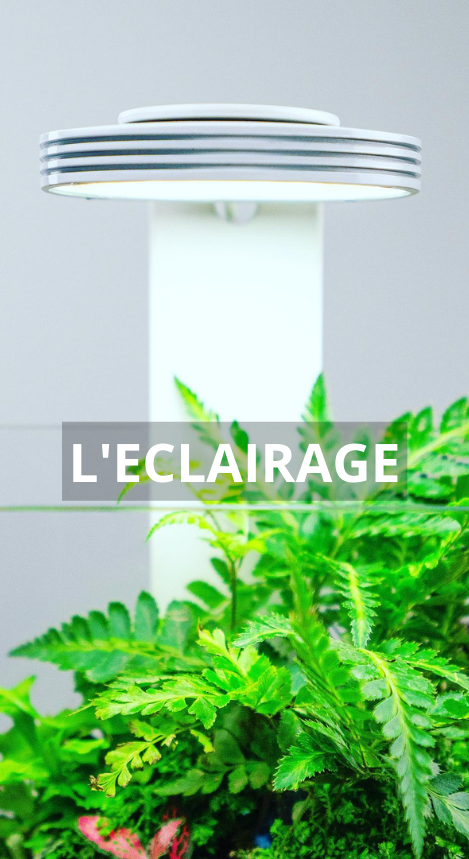 Sub-banner-6.jpg
