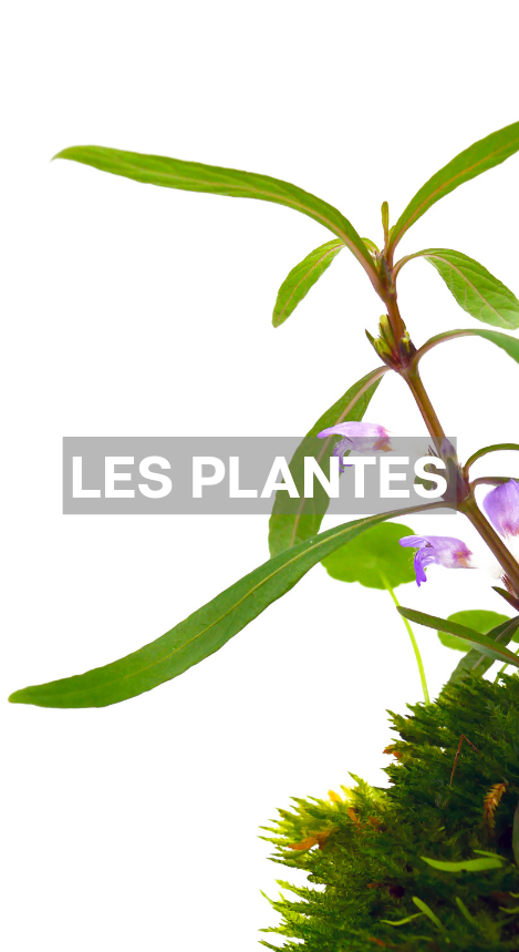 Sub-banner-4.jpg