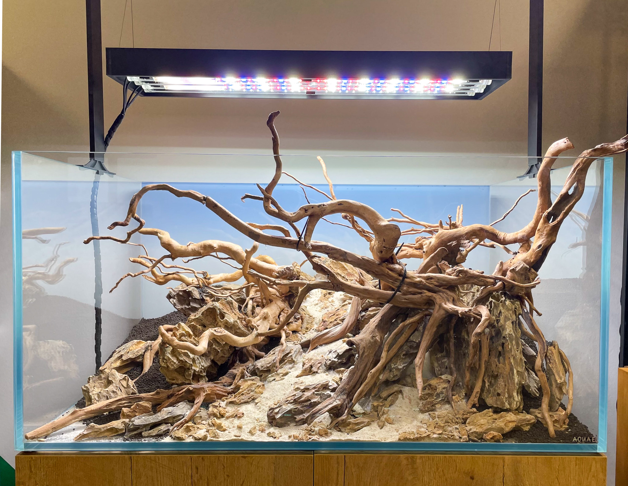 Hardscape aquarium — pierres et racines, l'ossature du décor Hardscape aquarium - pierres racines composition aquascaping Seiryu Ohko bois flotté crevettes structure décor naturel